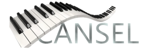 CANSEL ÇELİK