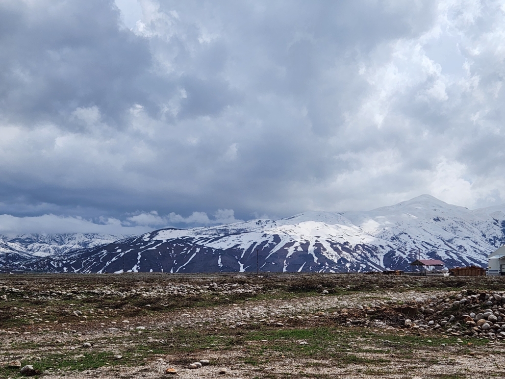IMG-20260502-WA0224